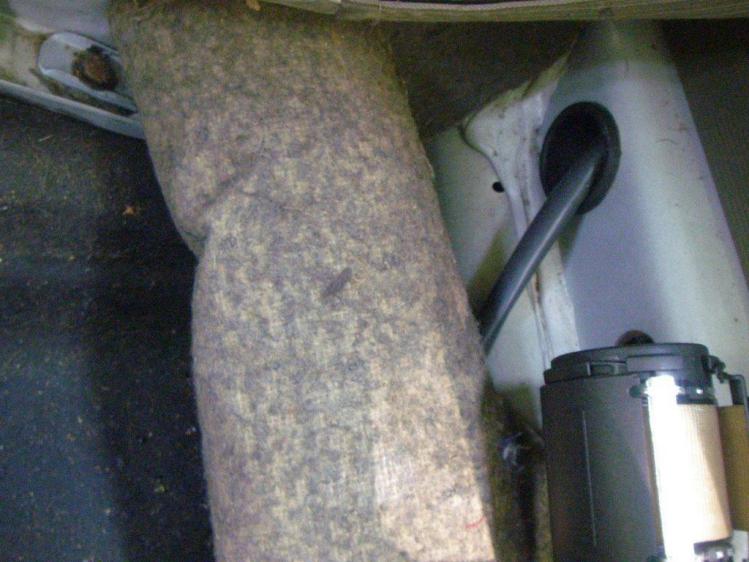 1965 type1 vw beetle